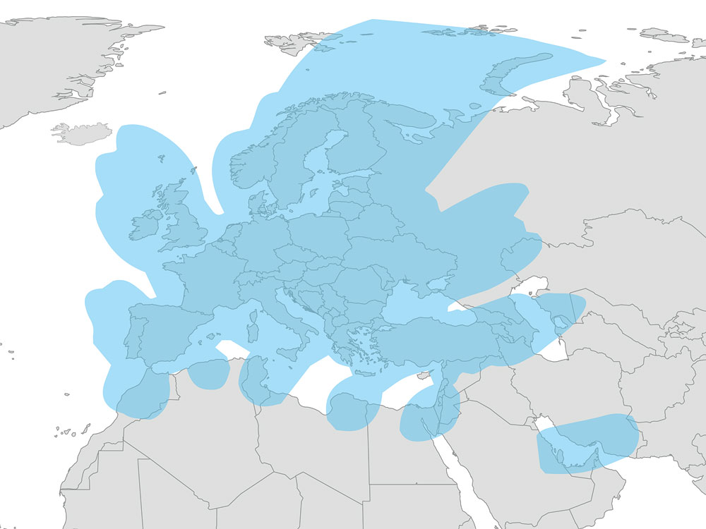 ocean-eutelsat